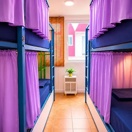 Kite & Surf Nomad House